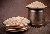 Barnyard Millet