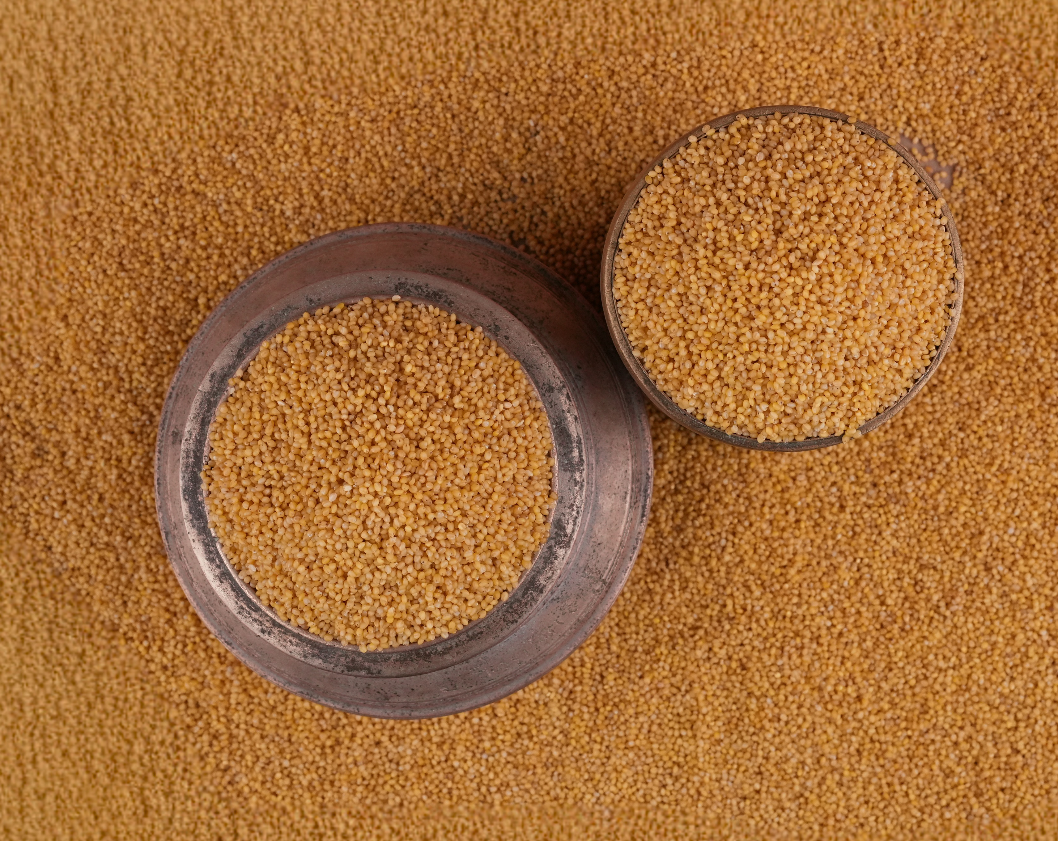 Foxtail Millet