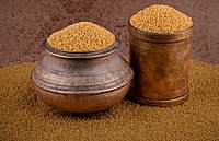 Foxtail Millet