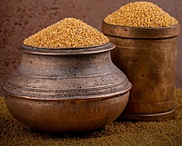 Foxtail Millet