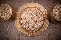 Jowar