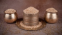 Jowar