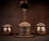 Jowar