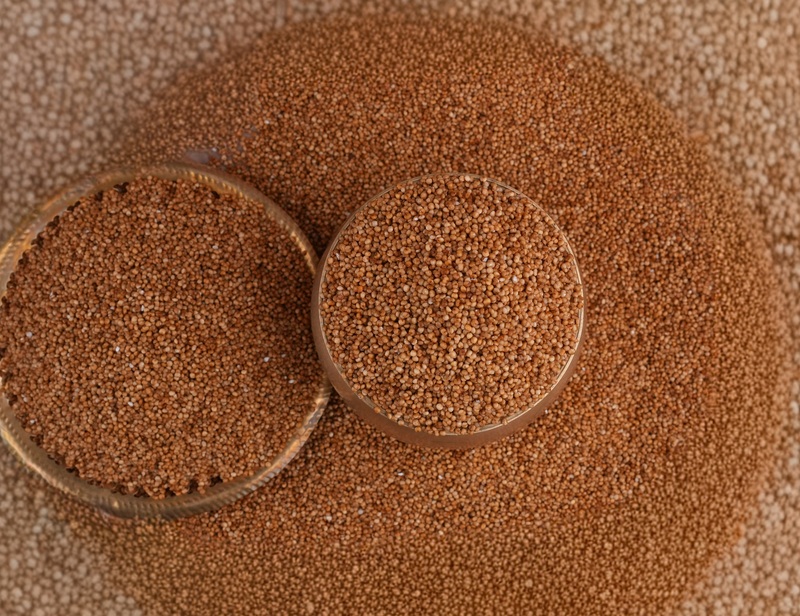 Kodo Millet