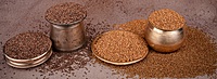 Kodo Millet