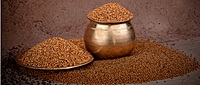 Kodo Millet