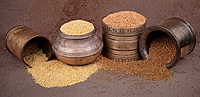 Proso Millet