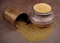 Proso Millet