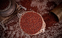 Ragi